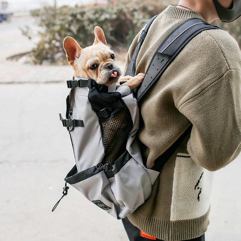 The Ultimate Travel Solution for Pet Owners