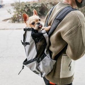The Ultimate Travel Solution for Pet Owners